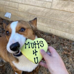 Keith's Souvenir and Gourmet Treat from BowWow Sedona