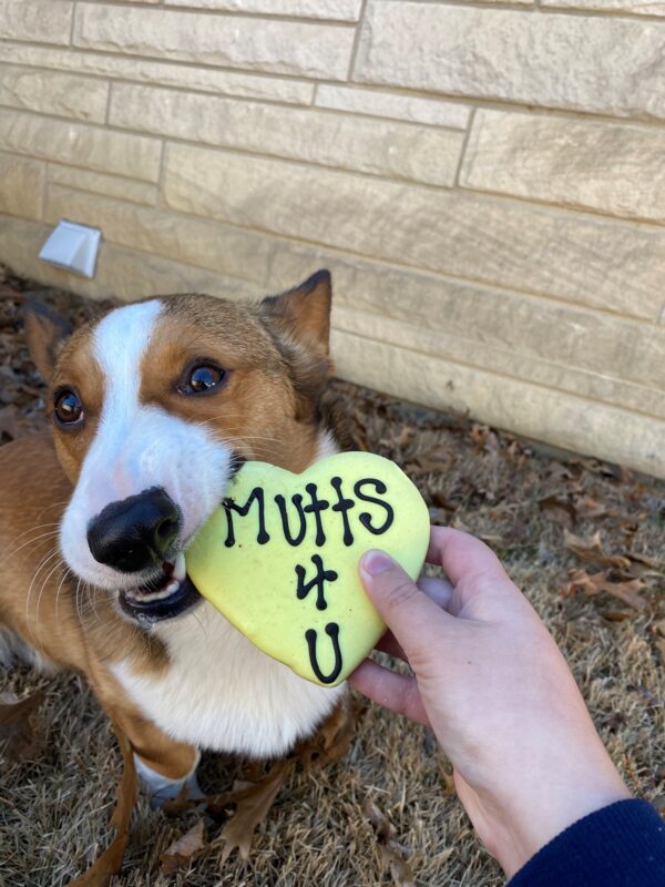 Keith's Souvenir and Gourmet Treat from BowWow Sedona